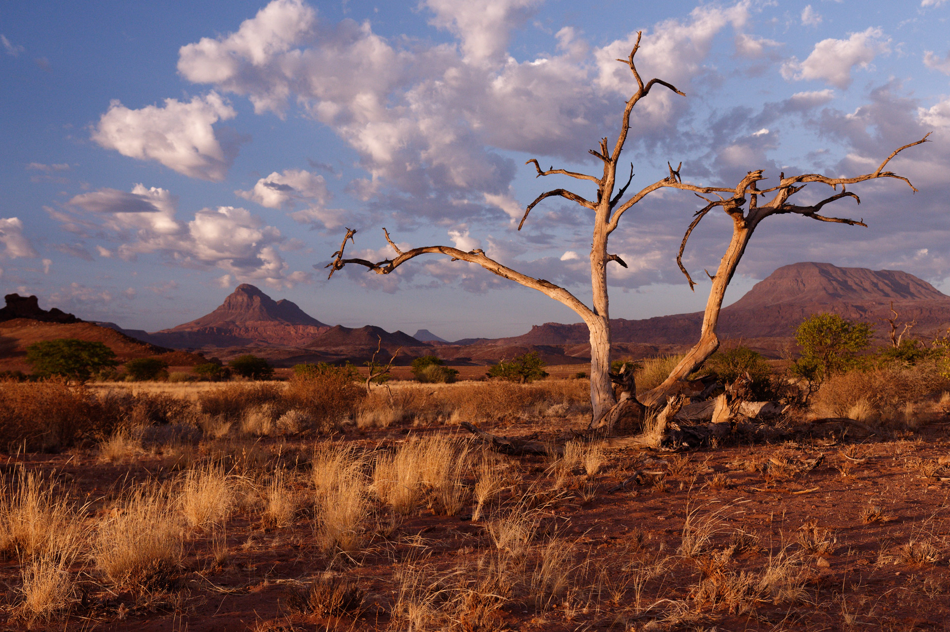 Namibie Damaraland