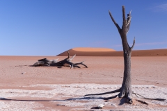 Namibie Deadvlei
