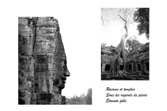 Haïkus et photographies : Angkor