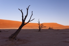 Namibie Deadvlei