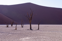 Namibie Deadvlei