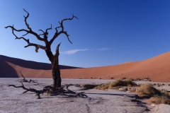 Namibie Deadvlei