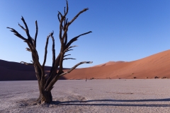 Namibie Deadvlei