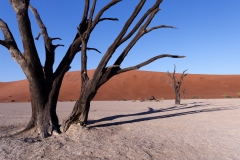 Namibie Deadvlei