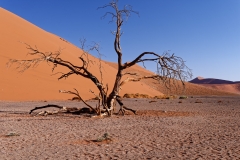 Namibie Sossuvlei