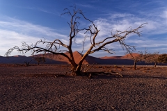 Namibie Sossuvlei