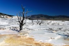 USA Yellowstone