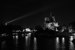 Belles de nuit
