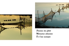 Haïkus et photographies : Camargue2