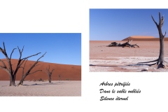 Haïkus et photographies : Sossuvlei Namibie