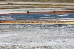 Parc de Yellowstone, USA