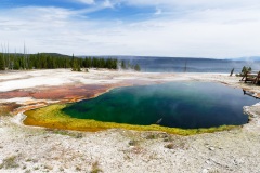 Parc de Yellowstone, USA