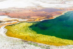 Parc de Yellowstone, USA