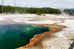 Parc de Yellowstone, USA