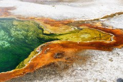 Parc de Yellowstone, USA