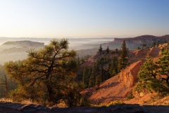 Brice Canyon, USA