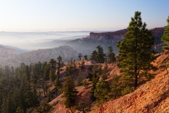 Brice Canyon, USA