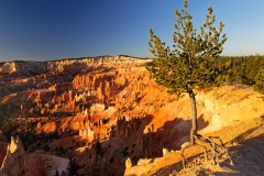 Brice Canyon, USA