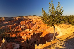 Brice Canyon, USA