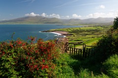 Irlande