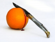 Photographie Nature Morte : Orange sanguine