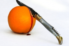 Photographie Nature Morte : Orange sanguine