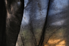 Transparences