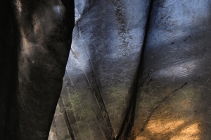 Transparences